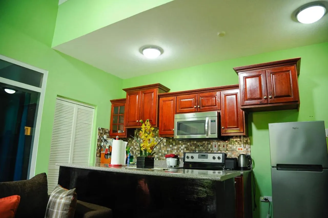 Gk Luxury Apartment Kingston 0*,