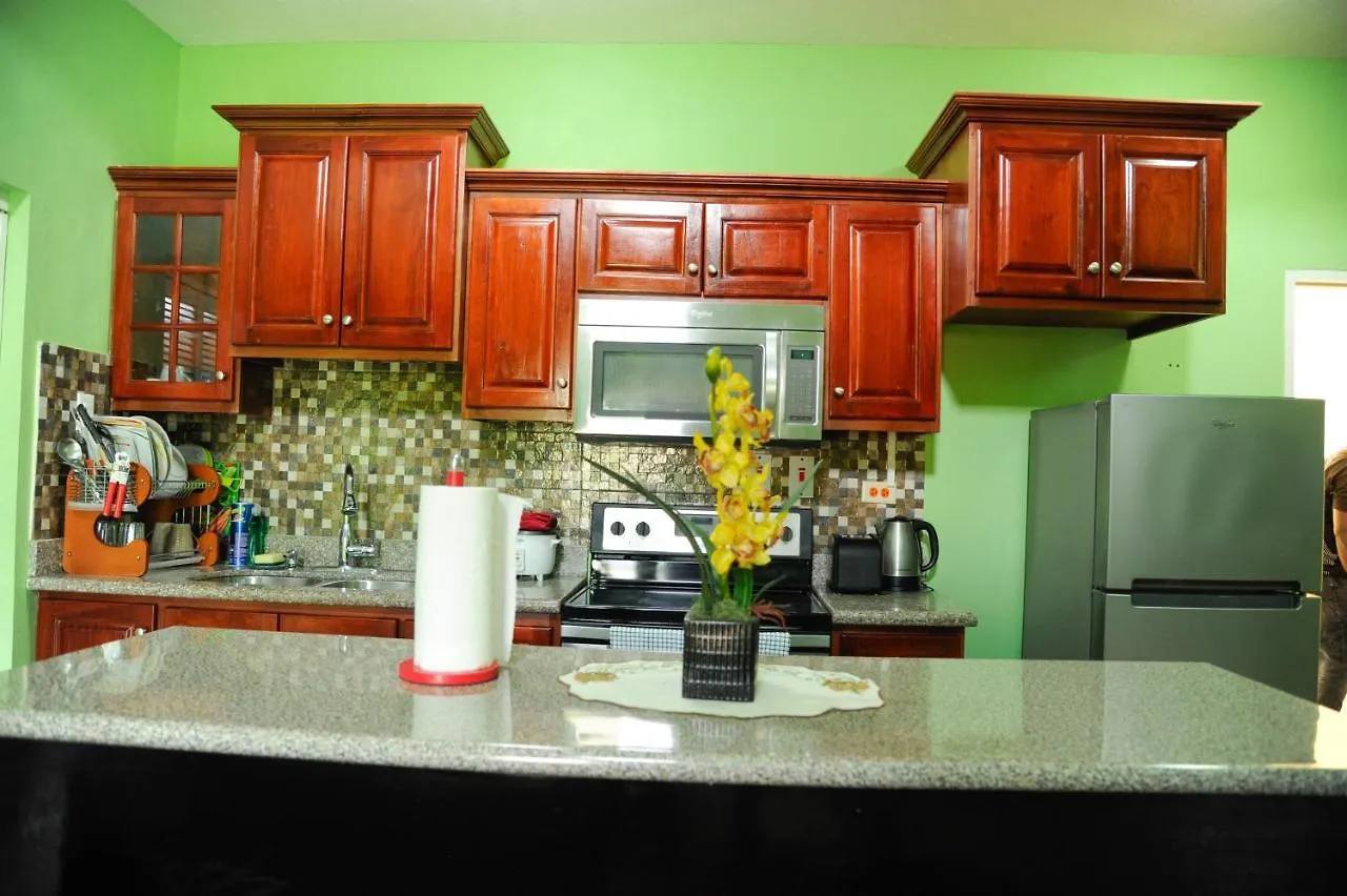 Gk Luxury Apartment Kingston