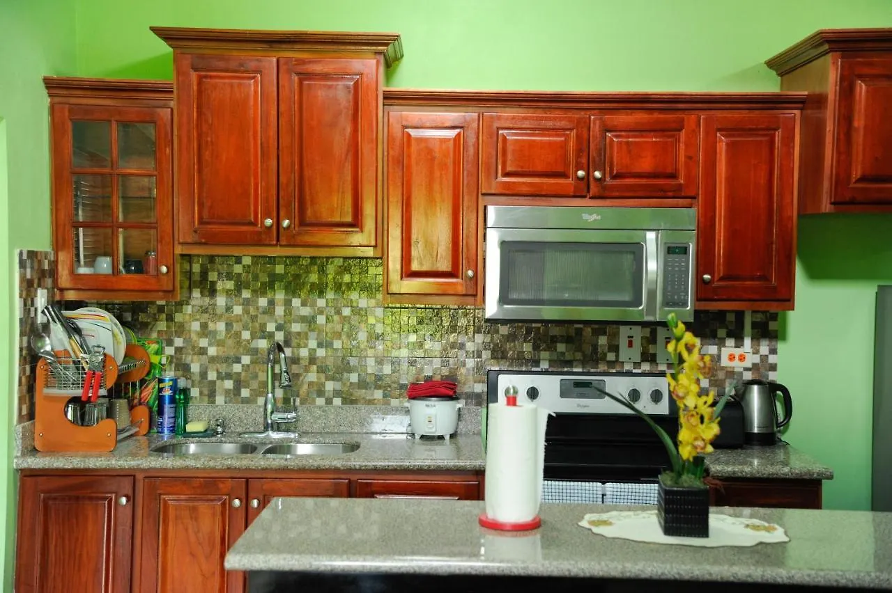 Gk Luxury Apartment Kingston