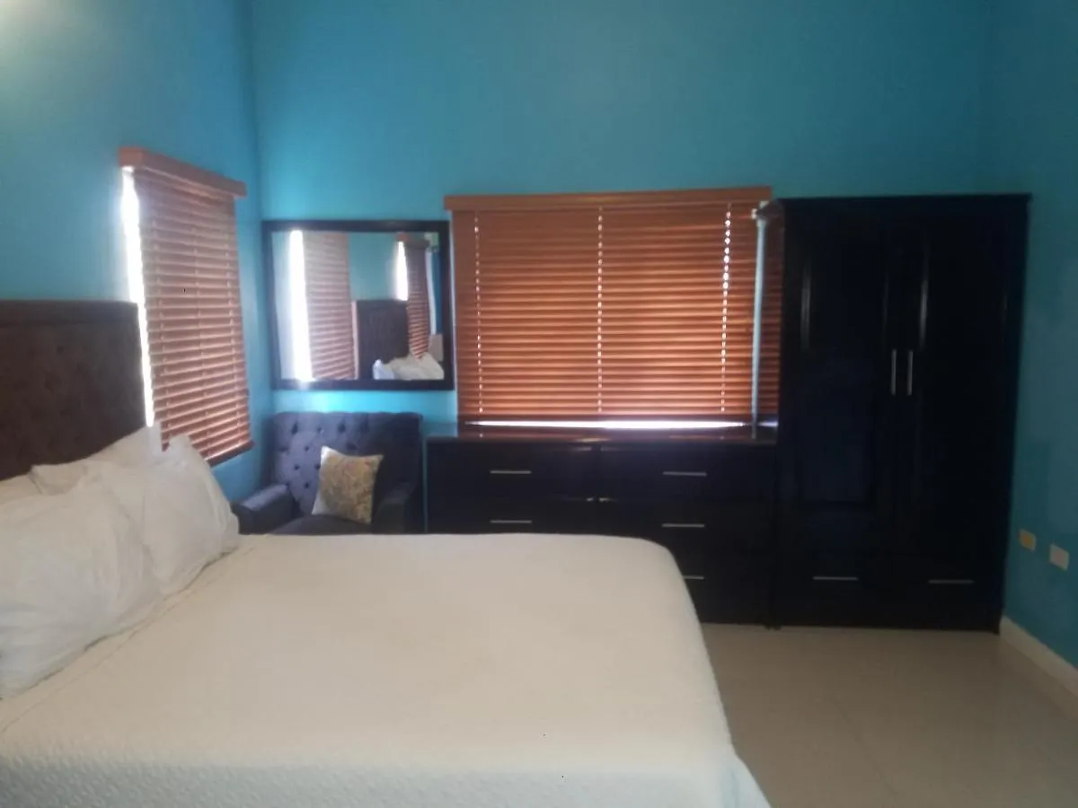 Gk Luxury Apartment Kingston