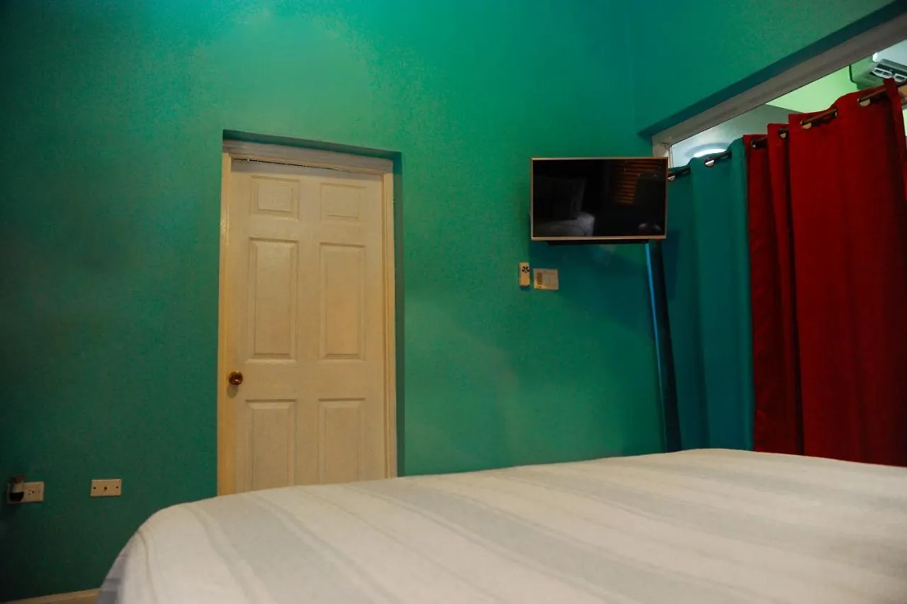 Gk Luxury Apartment Kingston