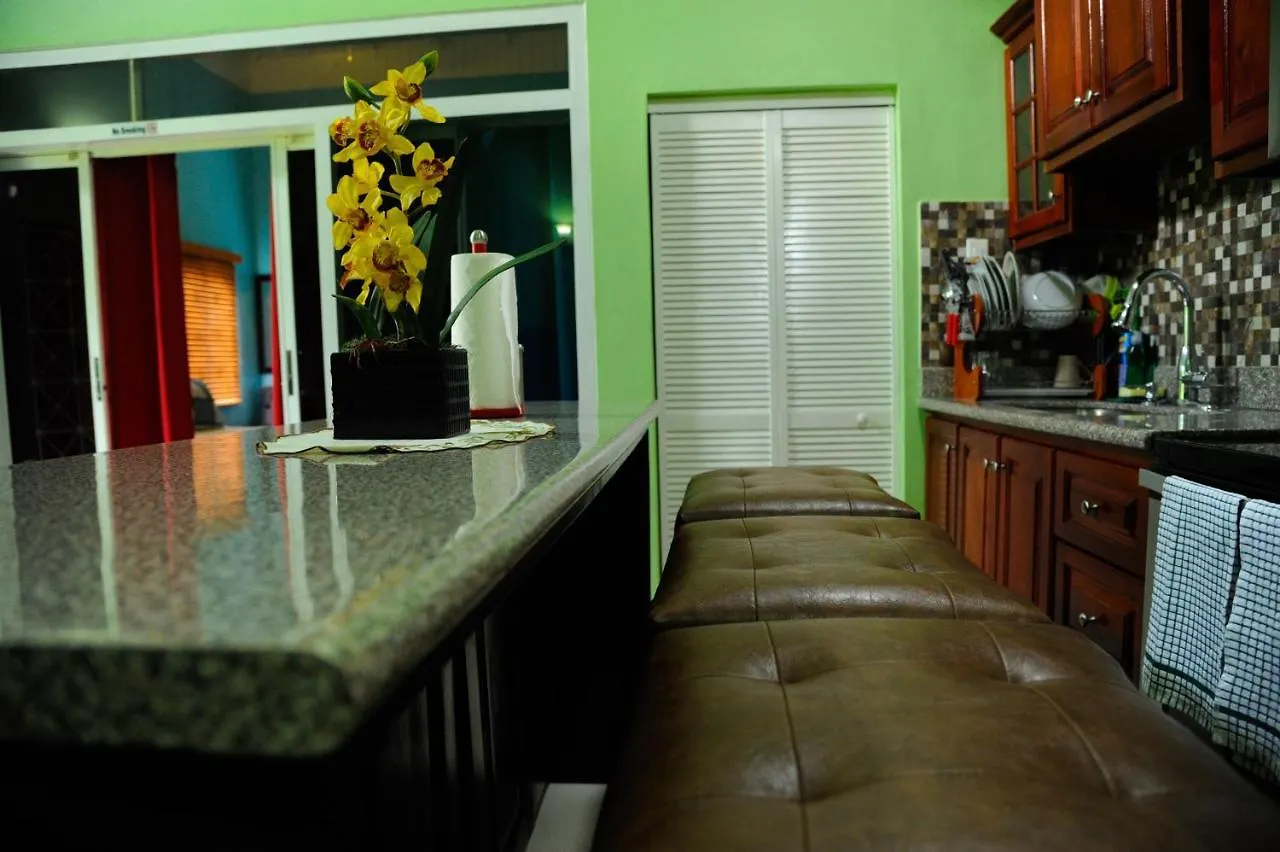 Gk Luxury Apartment Kingston