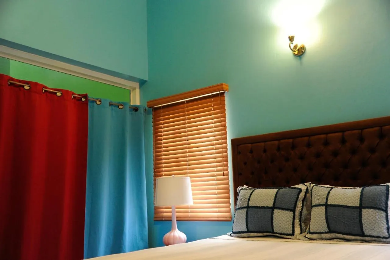 Gk Luxury Apartment Kingston