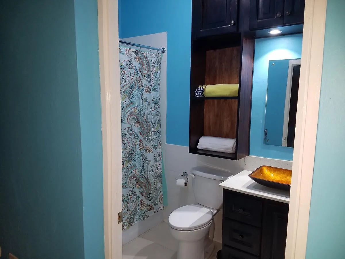 Gk Luxury Apartment Kingston